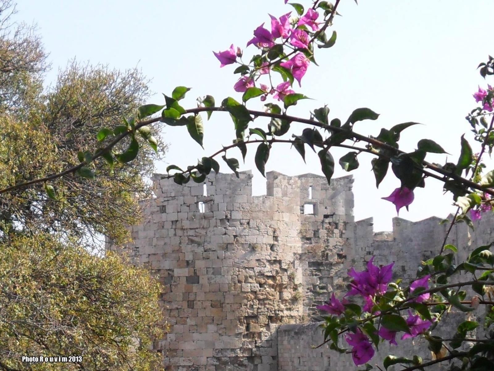 House With Garden In City Of Rhodes Rhodes City Exteriör bild